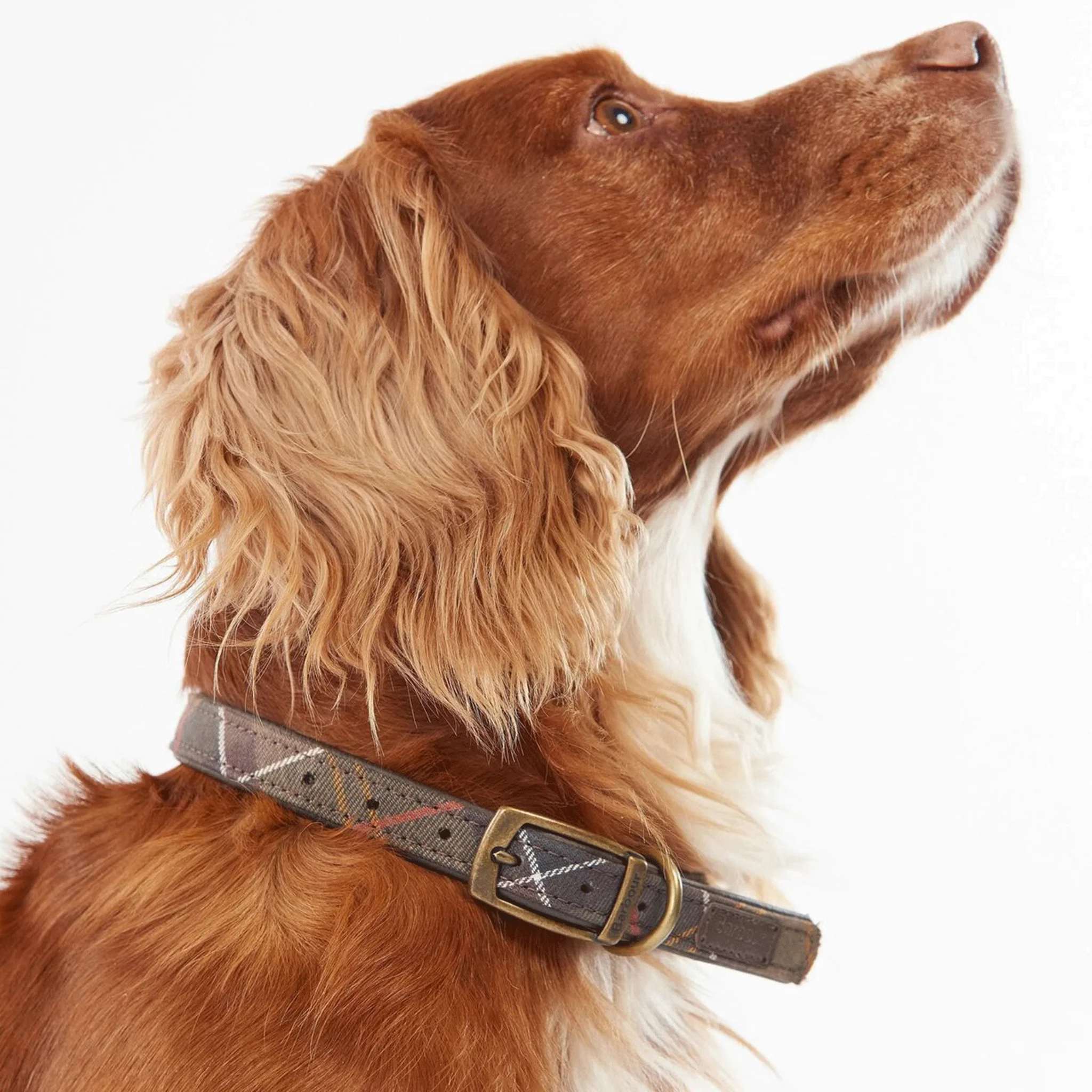 Barbour Classic Tartan Dog Collar - Image 2
