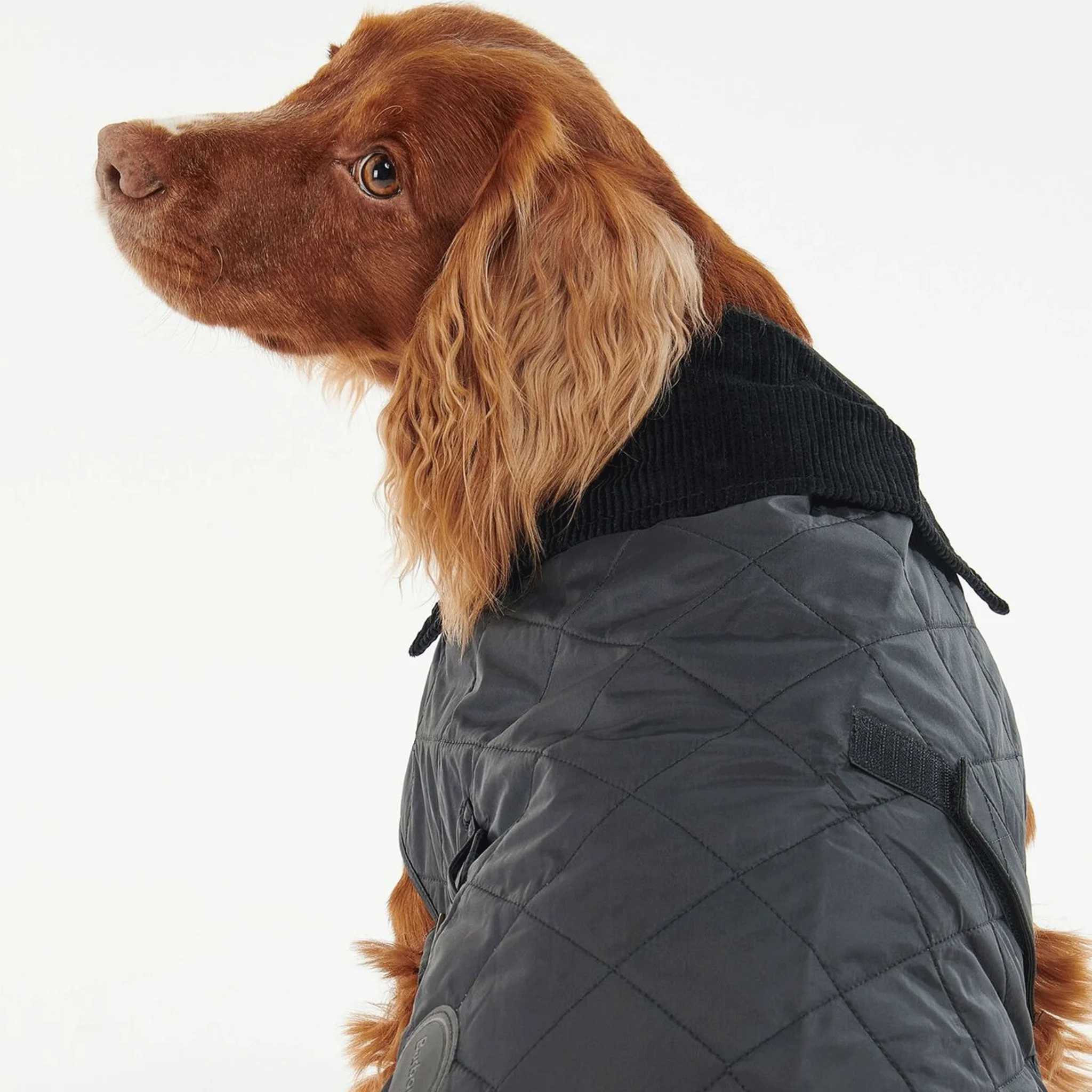 Barbour Quilted Dog Coat Classic Black - Image 5