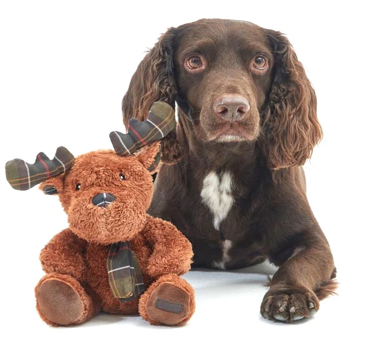 Barbour Reindeer Soft Dog Toy