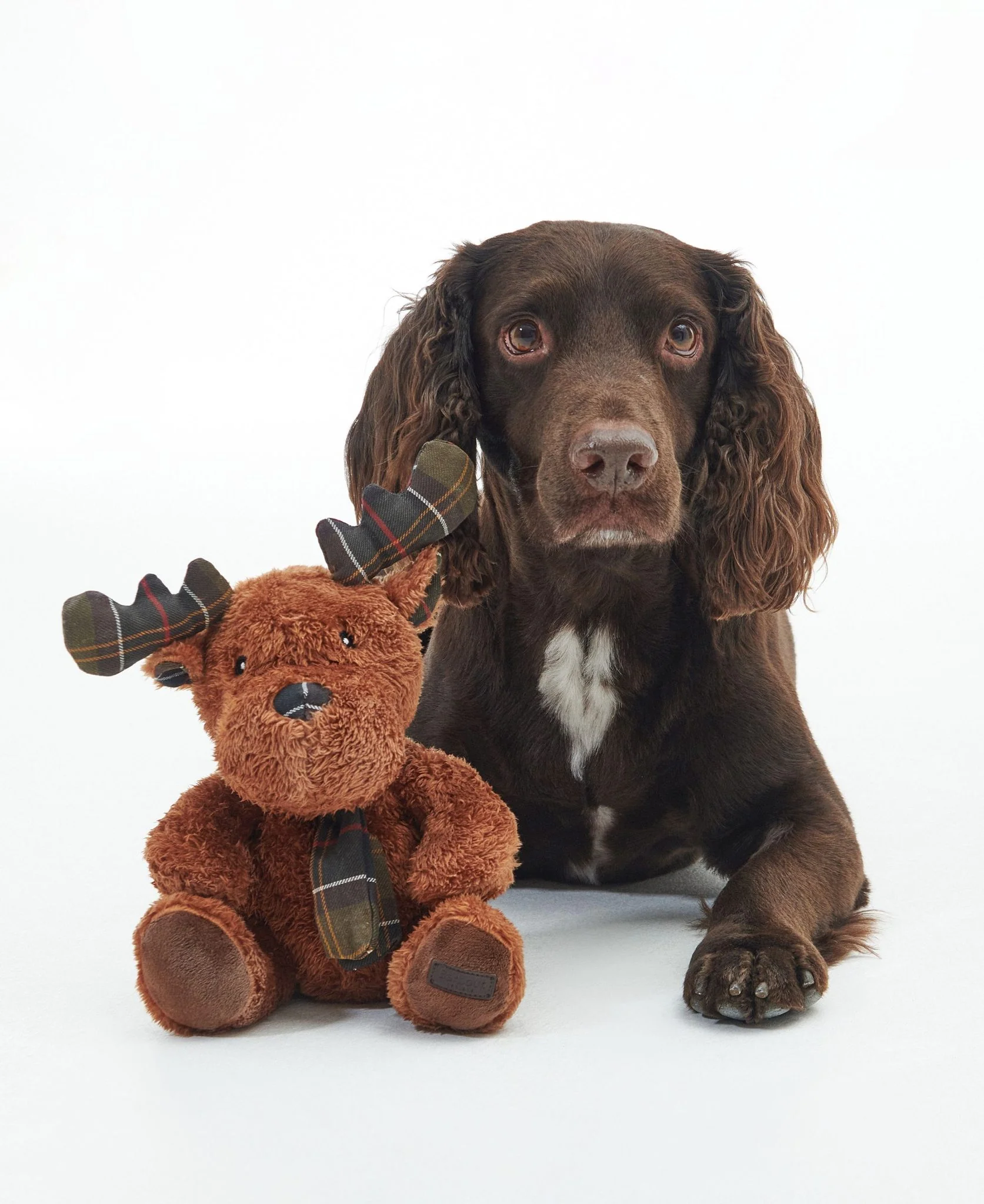 Barbour Reindeer Soft Dog Toy - Image 4
