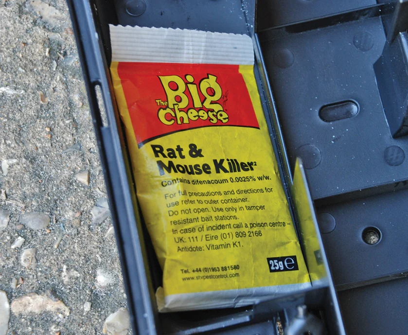 Big Cheese Rat & Mouse Grain Bait Sachets (6x25g Pack) - Image 2
