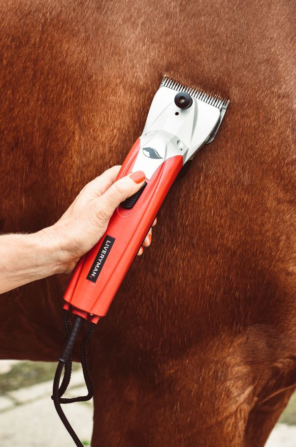 Liveryman Black Beauty Mains Horse Clipper - Image 3