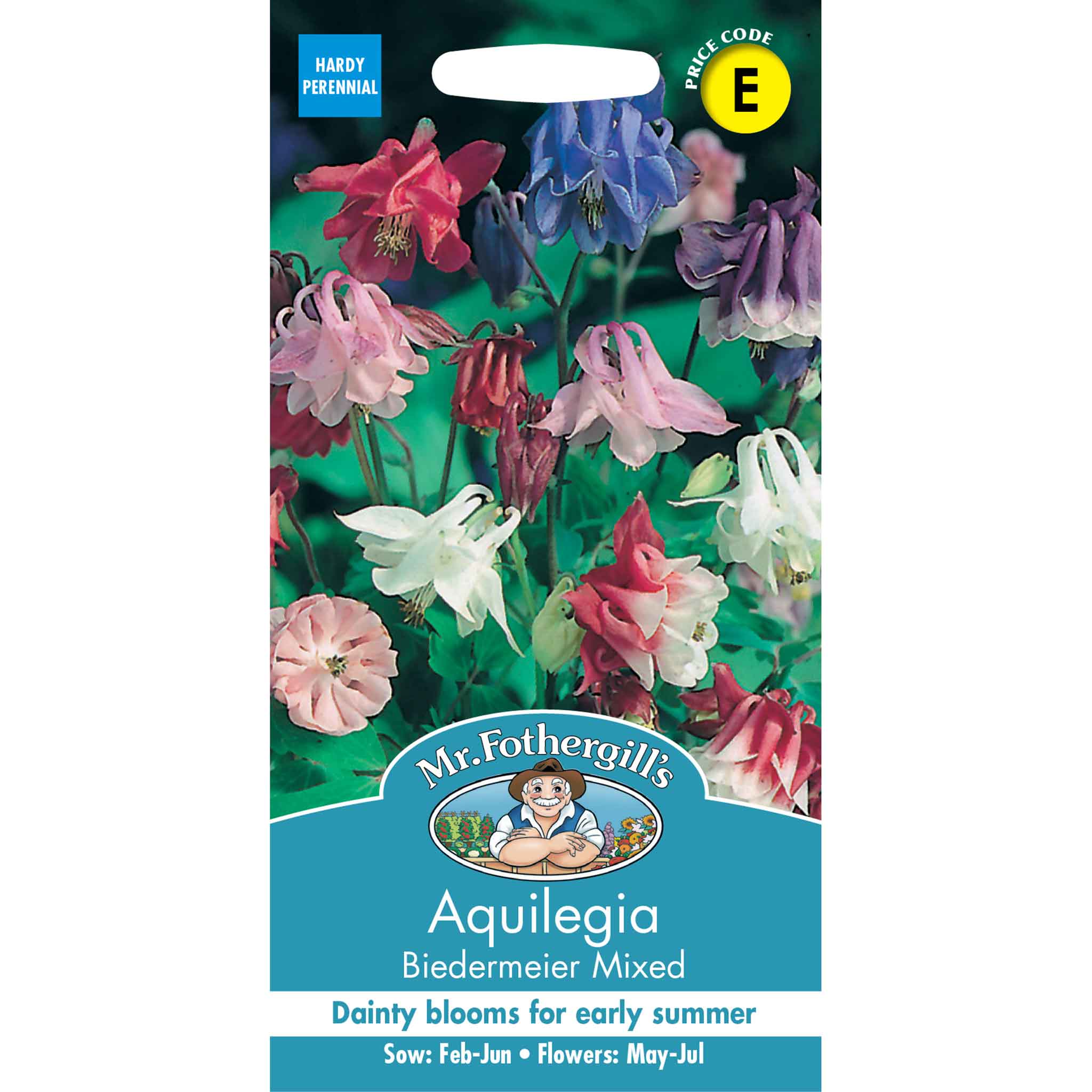 Mr Fothergill's - Flower Seeds - Image 14