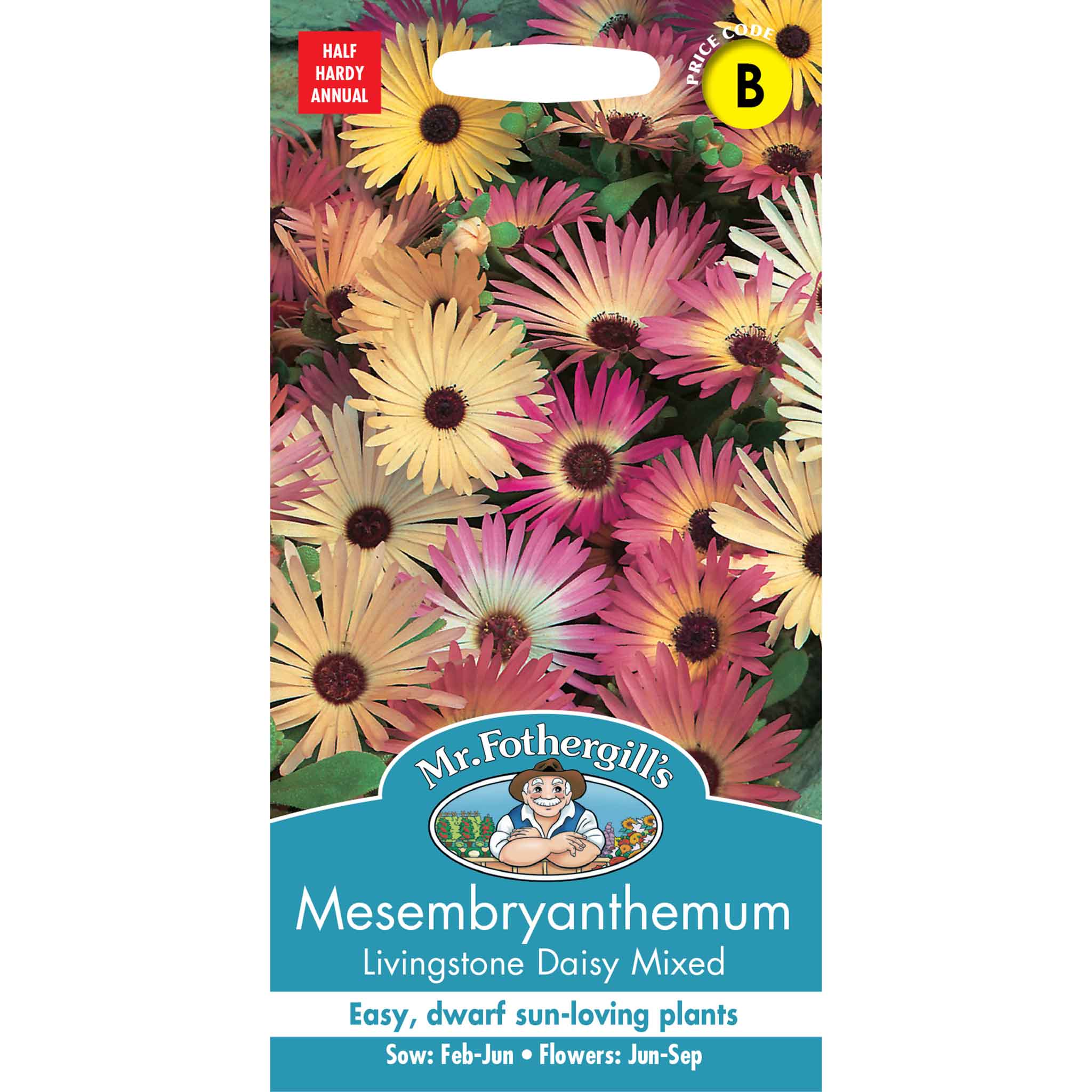 Mr Fothergill's - Flower Seeds - Image 56
