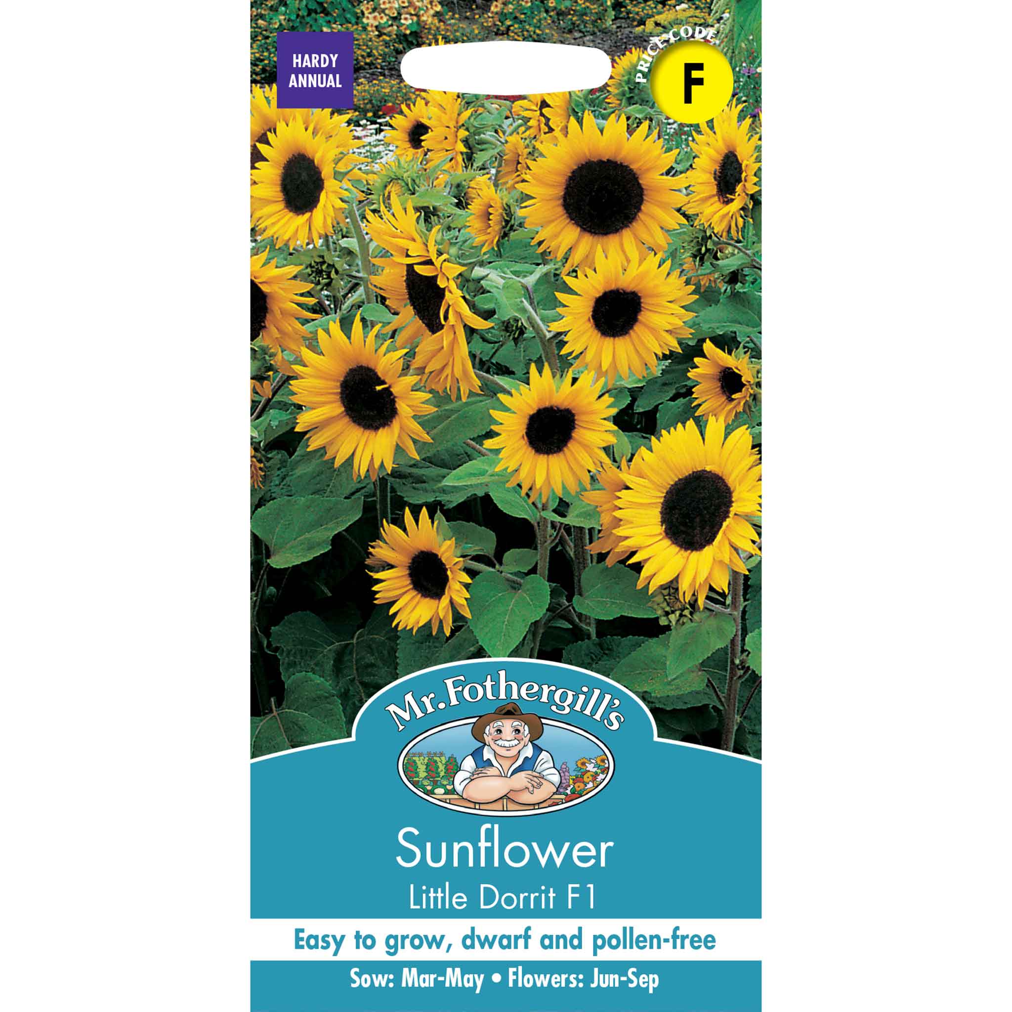Mr Fothergill's - Flower Seeds - Image 79
