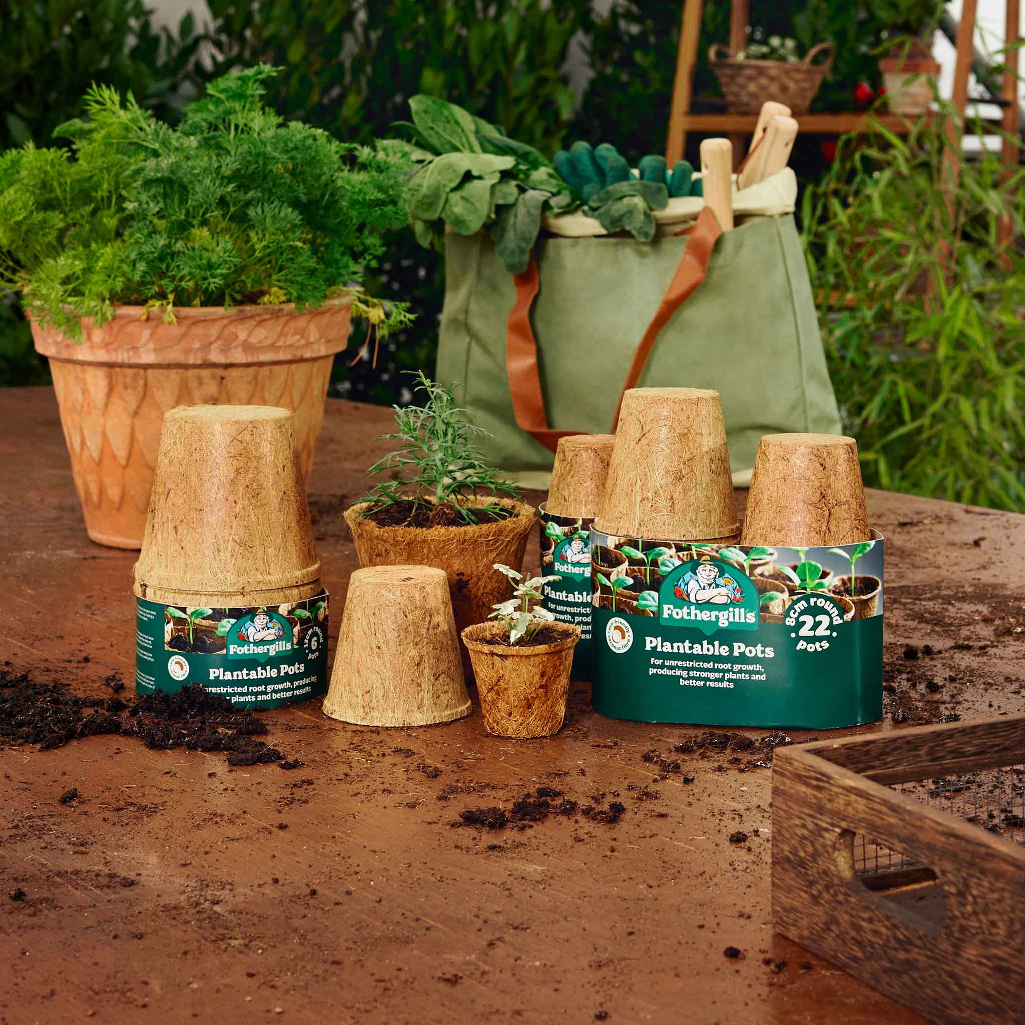 Mr Fothergill's Plantable Round Pots 22 x 8cm - Image 2
