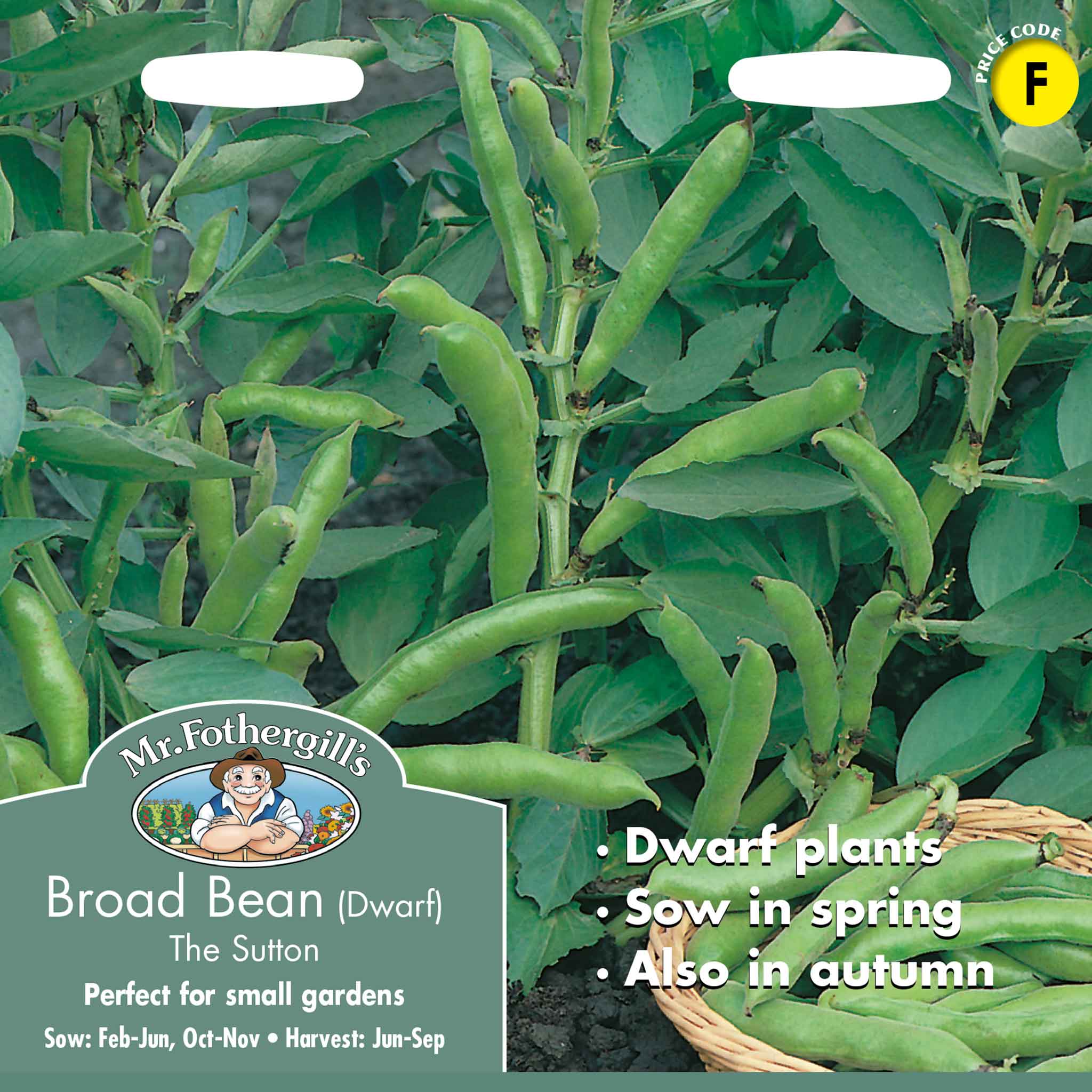 Mr Fothergill's - Vegetable Seeds - Image 65