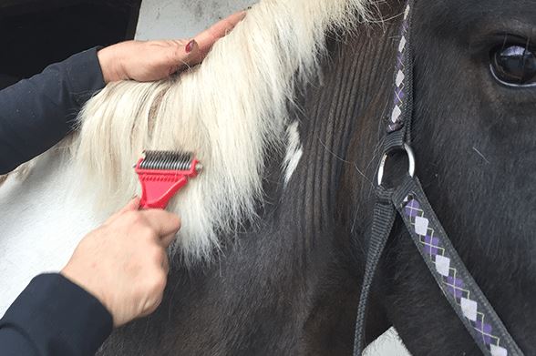 Solorake Humane Mane & Tail Thinner - Image 2