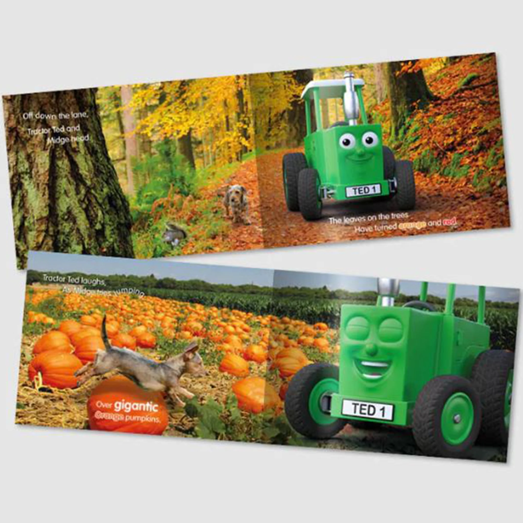 Tractor Ted An Autumn Day Storybook - Image 2